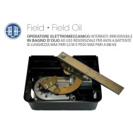 MOTORE SEA INTERRATO FIELD CANCELLO BATTENTE  2,5M 250 KG IRREVERSIBILE