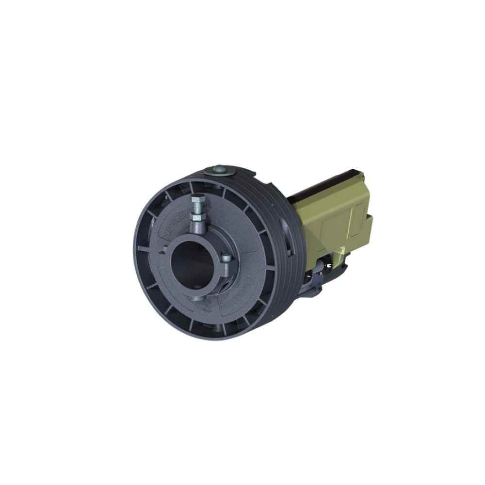MOTORE PER SERRANDE AVVOLGIBILI RING170 KING GATES 230V 170Kg asse Ø 60/48 - corona 200/220