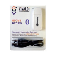 PEN DRIVE BLUETOOTH PER COLLEGAMENTO VIVALDI  GIOVE FREE,CONNESSIONE TRAMITE USB-AUX IN.