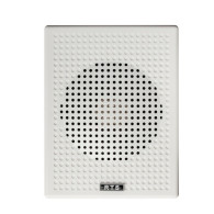 DIFFUSORE PARETE PER INTERNI TS DP06 RTS 6W RMS 100V