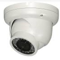 Telecamera Dome D800 IR 24led alta risoluzione 800linee videcontrollo 